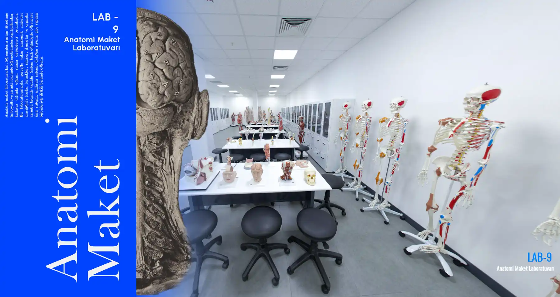 Anatomi Maket Laboratuvarı