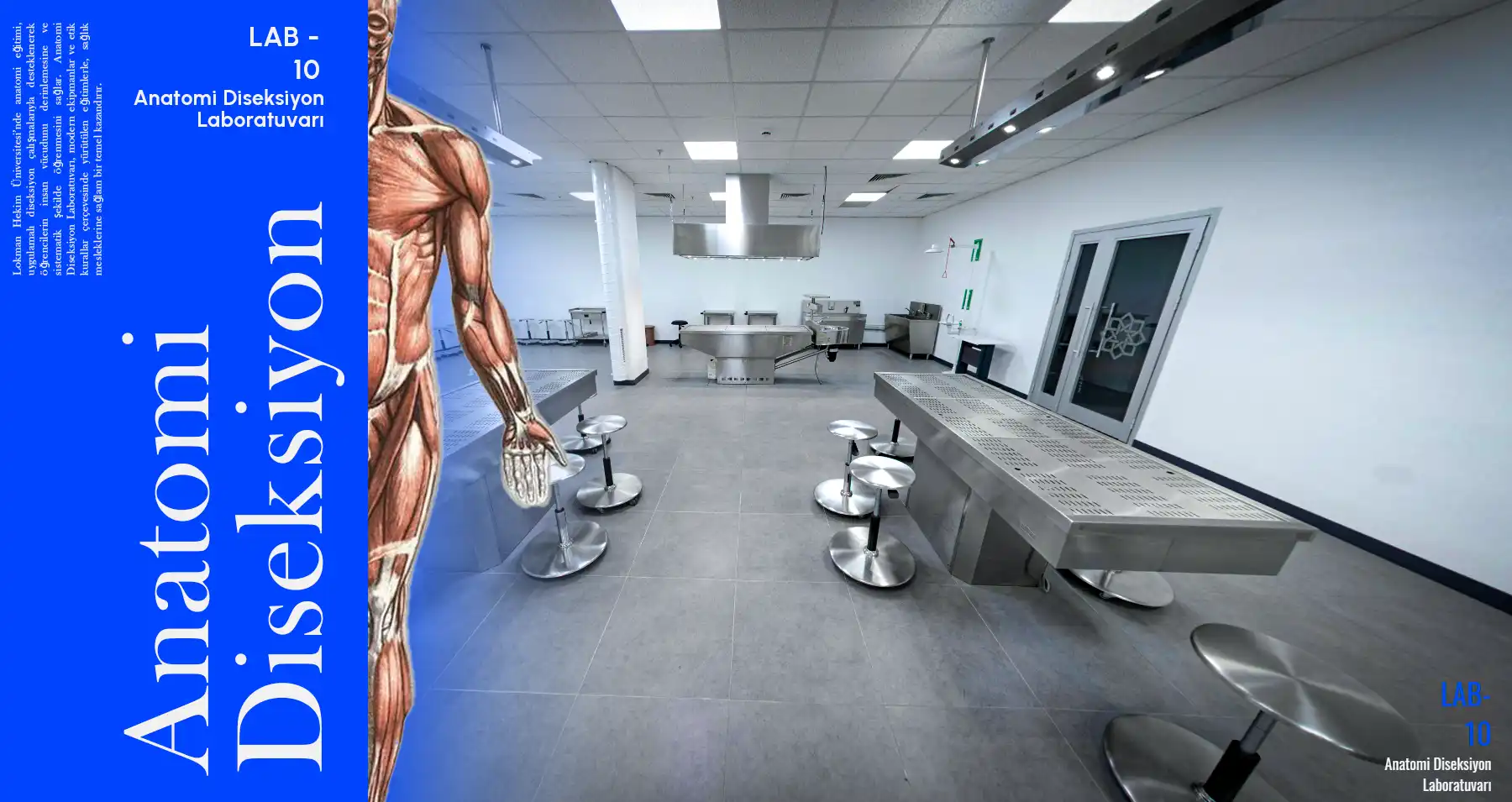 Anatomi Diseksiyon Laboratuvarı